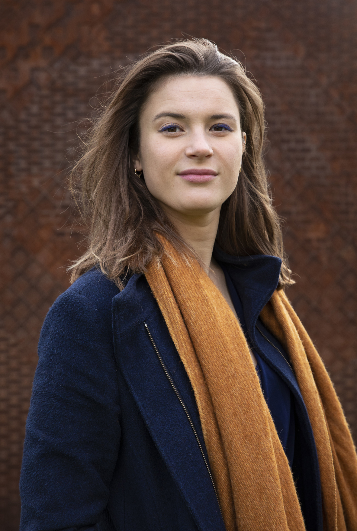 {{brizy_dc_image_alt entityId=